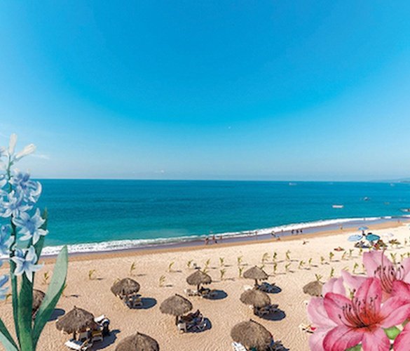 La primavera ya está aquí. Hotel Krystal Ixtapa Ixtapa-Zihuatanejo